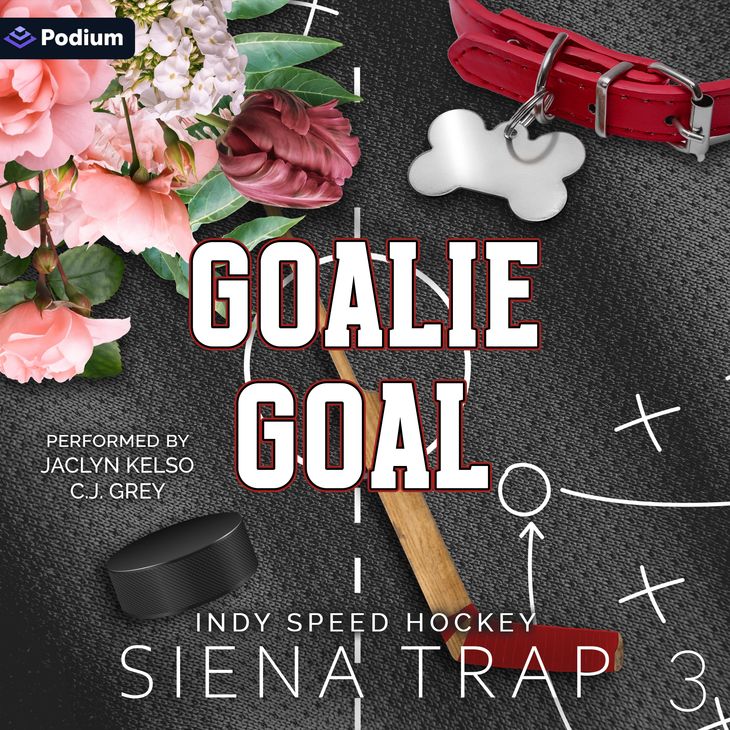 GOALIE GOAL - Indy Speed: Audio Book Three